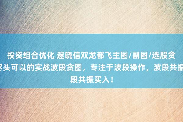 投资组合优化 邃晓信双龙都飞主图/副图/选股贪图，尽头可以的实战波段贪图，专注于波段操作，波段共振买入！