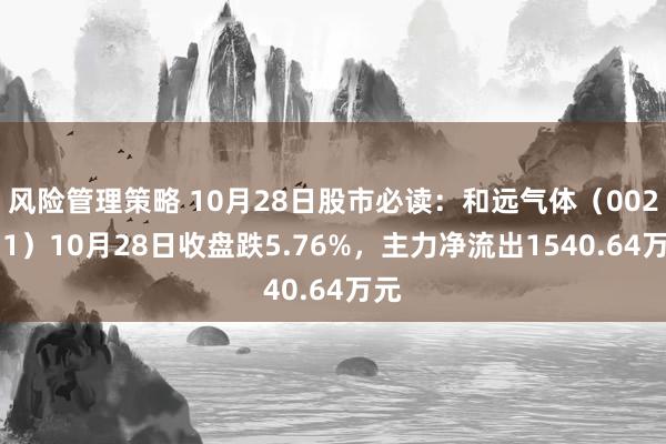 风险管理策略 10月28日股市必读：和远气体（002971）10月28日收盘跌5.76%，主力净流出1540.64万元