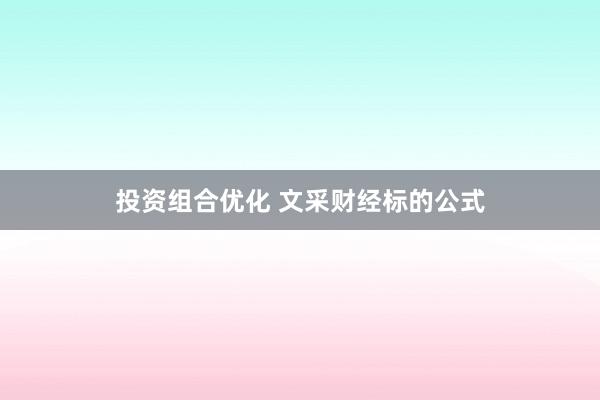 投资组合优化 文采财经标的公式