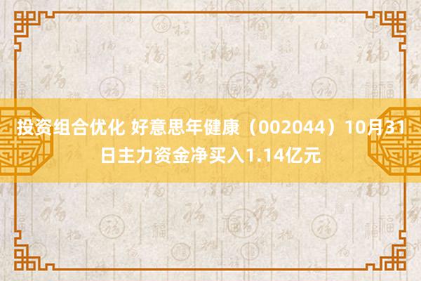 投资组合优化 好意思年健康（002044）10月31日主力资金净买入1.14亿元