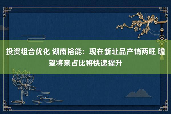 投资组合优化 湖南裕能：现在新址品产销两旺 瞻望将来占比将快速擢升