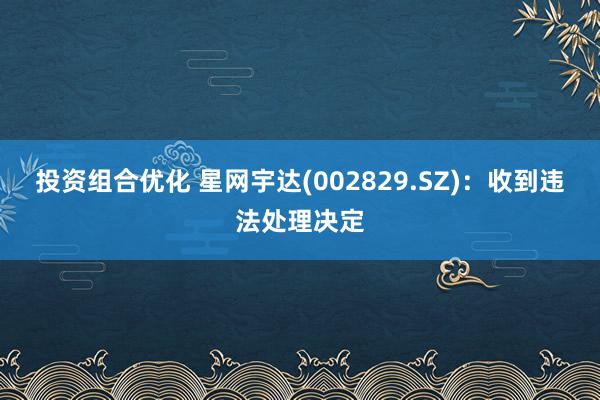 投资组合优化 星网宇达(002829.SZ)：收到违法处理决定