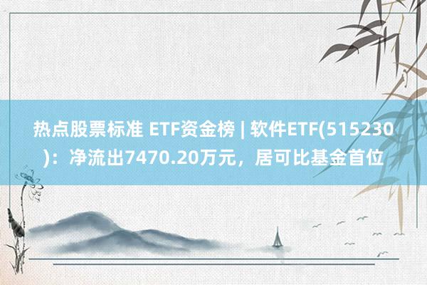 热点股票标准 ETF资金榜 | 软件ETF(515230)：净流出7470.20万元，居可比基金首位