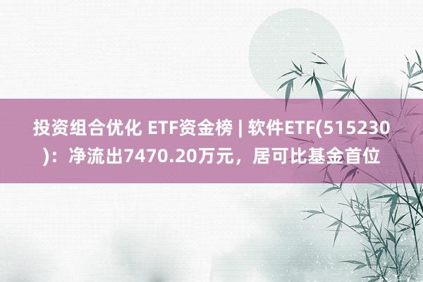 投资组合优化 ETF资金榜 | 软件ETF(515230)：净流出7470.20万元，居可比基金首位