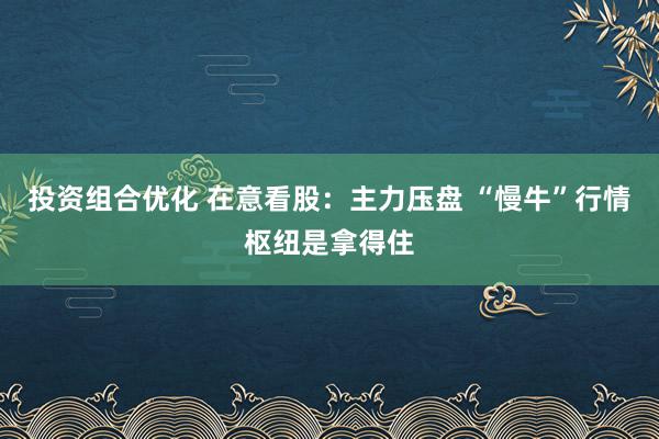 投资组合优化 在意看股：主力压盘 “慢牛”行情枢纽是拿得住