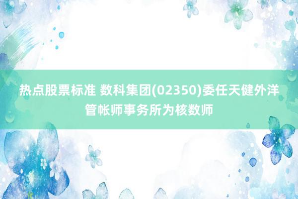 热点股票标准 数科集团(02350)委任天健外洋管帐师事务所为核数师