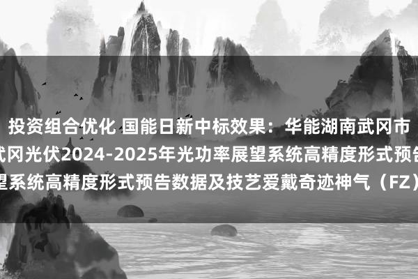 投资组合优化 国能日新中标效果：华能湖南武冈市不灭新动力有限公司武冈光伏2024-2025年光功率展望系统高精度形式预告数据及技艺爱戴奇迹神气（FZ）效果公告