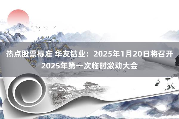 热点股票标准 华友钴业：2025年1月20日将召开2025年第一次临时激动大会