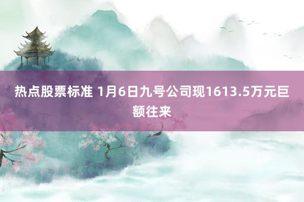 热点股票标准 1月6日九号公司现1613.5万元巨额往来