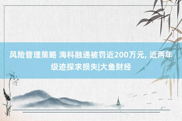 风险管理策略 海科融通被罚近200万元, 近两年级迹探求损失|大鱼财经