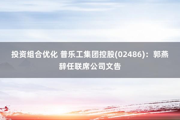 投资组合优化 普乐工集团控股(02486)：郭燕辞任联席公司文告