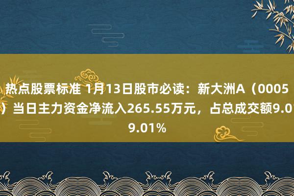 热点股票标准 1月13日股市必读：新大洲A（000571）当日主力资金净流入265.55万元，占总成交额9.01%