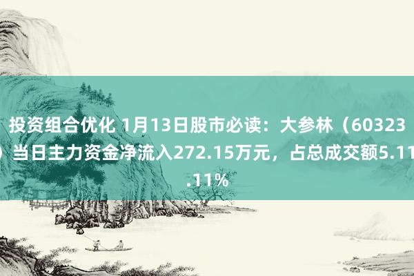 投资组合优化 1月13日股市必读：大参林（603233）当日主力资金净流入272.15万元，占总成交额5.11%