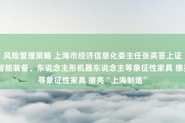 风险管理策略 上海市经济信息化委主任张英答上证报: 打造低空智能装备、东说念主形机器东说念主等象征性家具 擦亮“上海制造”