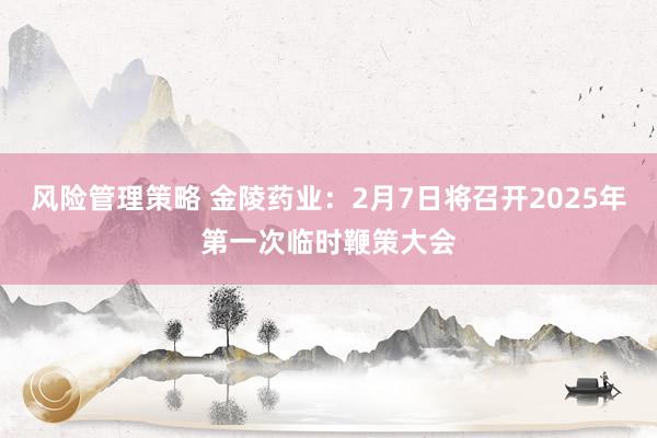 风险管理策略 金陵药业：2月7日将召开2025年第一次临时鞭策大会