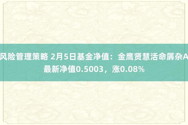 风险管理策略 2月5日基金净值：金鹰贤慧活命羼杂A最新净值0.5003，涨0.08%