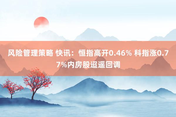 风险管理策略 快讯：恒指高开0.46% 科指涨0.77%内房股迢遥回调