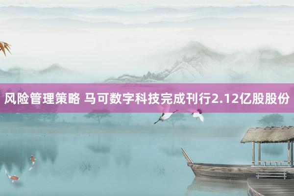 风险管理策略 马可数字科技完成刊行2.12亿股股份