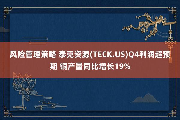 风险管理策略 泰克资源(TECK.US)Q4利润超预期 铜产量同比增长19%