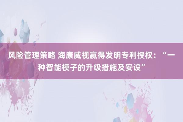 风险管理策略 海康威视赢得发明专利授权：“一种智能模子的升级措施及安设”