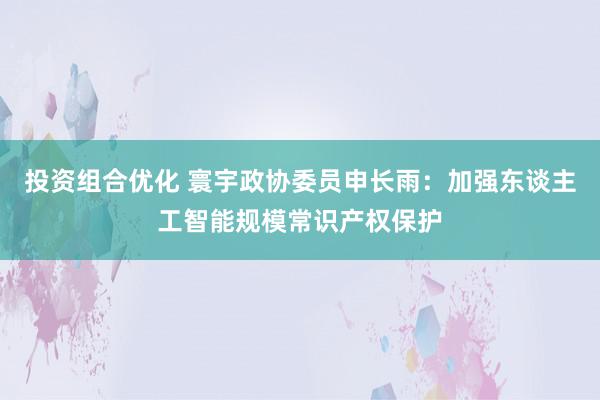 投资组合优化 寰宇政协委员申长雨：加强东谈主工智能规模常识产权保护