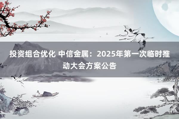 投资组合优化 中信金属：2025年第一次临时推动大会方案公告